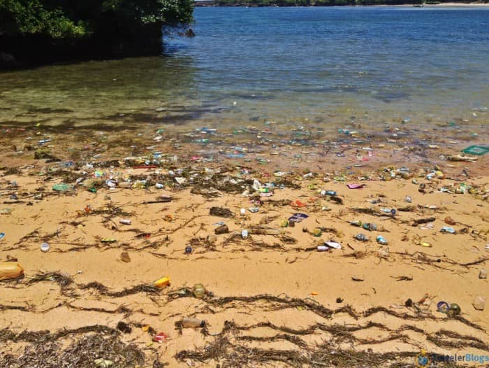 На мой взгляд - мусор, одна из главных проблем на острове. Местные очень ленивые и запросто могут выкинуть пакет с мусором прямо в океан или посреди дороги.