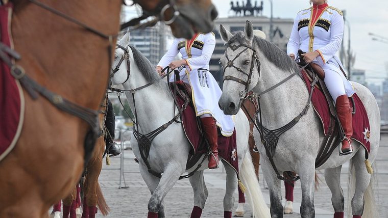 конное шоу москва день города