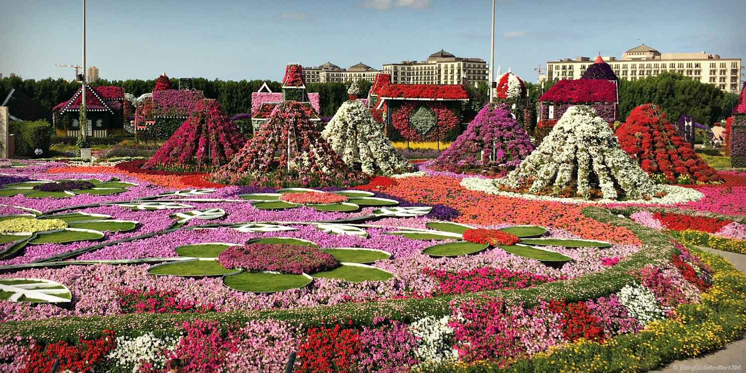 дубайский парк цветов