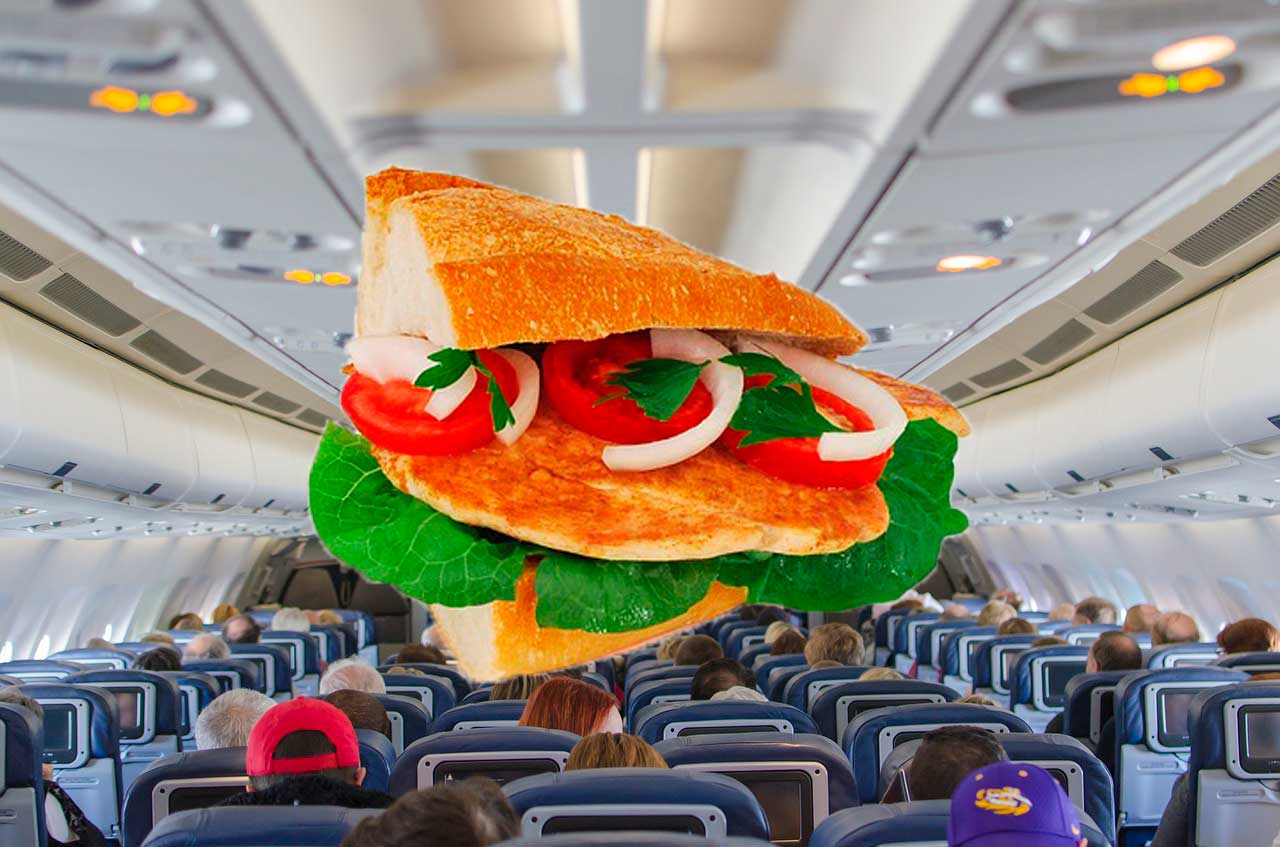 Еда в самолете. Можно ли проносить в ручной клади?
