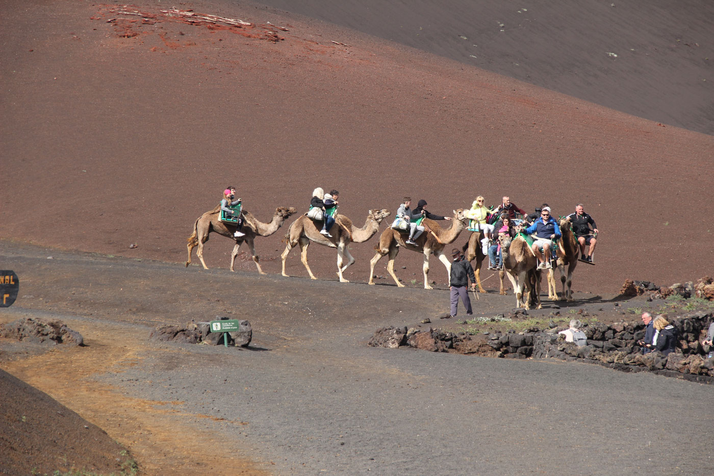 Туристы едут на верблюдах в сопровождении гида. На фоне пейзажи Тиманфайи.
